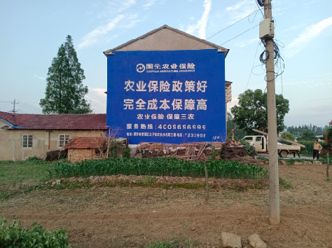 赤水墙体广告的优劣势你知道吗？